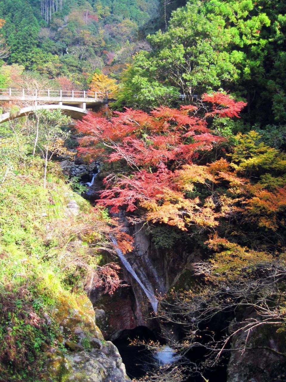 Nature Resort In Niyodo Niyodogawa 外观 照片